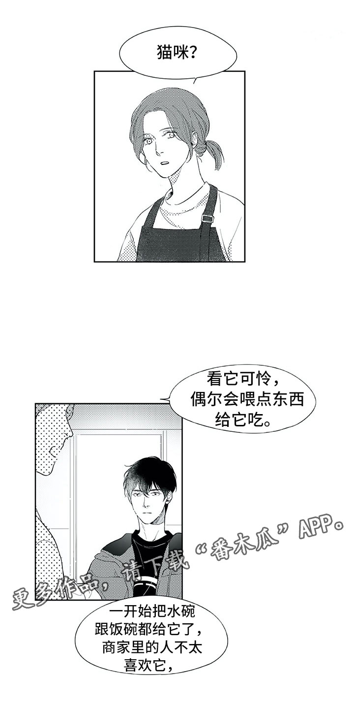 相恋49日漫画,第19章：心乱1图