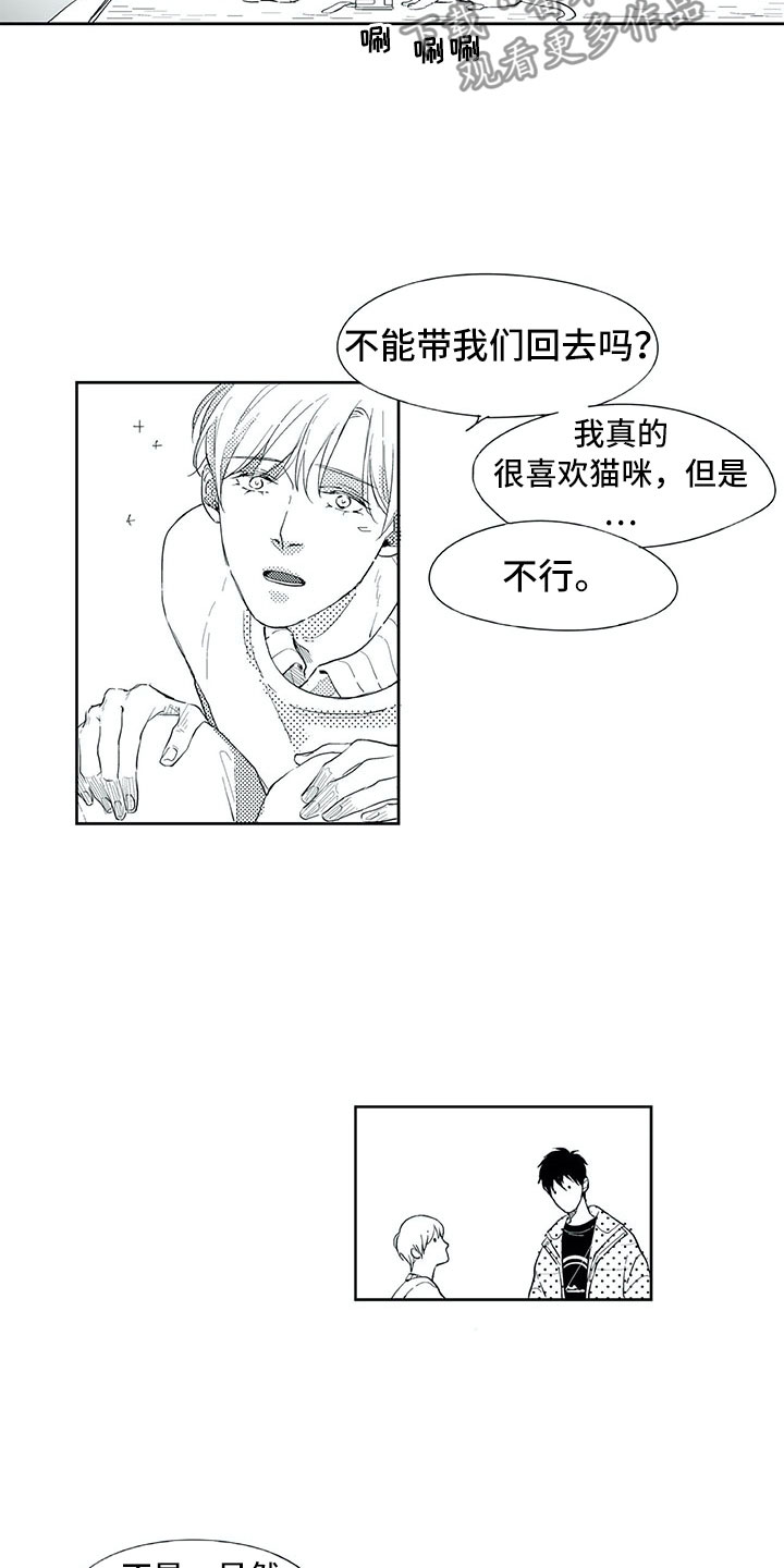 相恋49日漫画,第19章：心乱3图