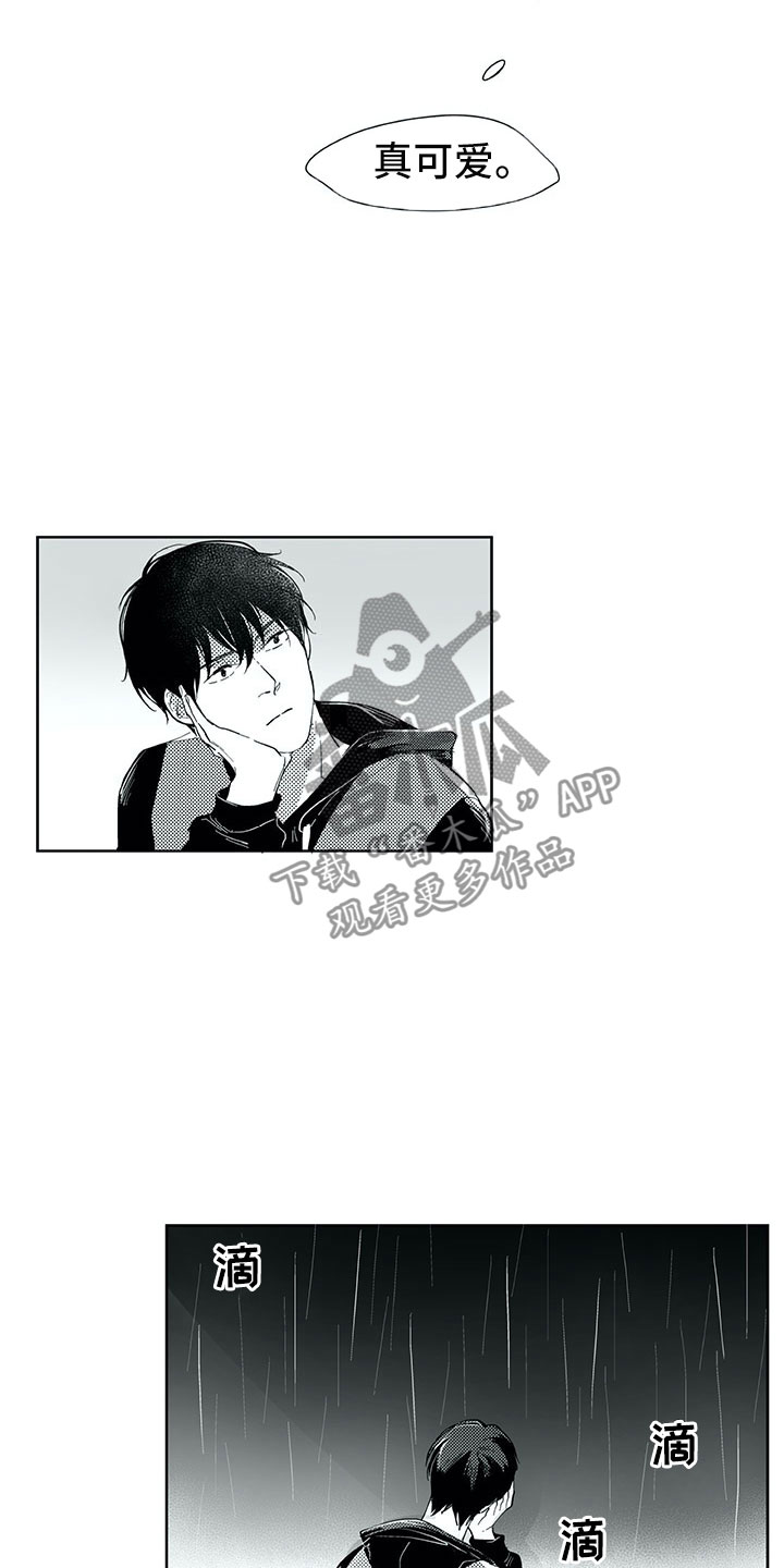 相恋49日漫画,第22章：毫无防备1图