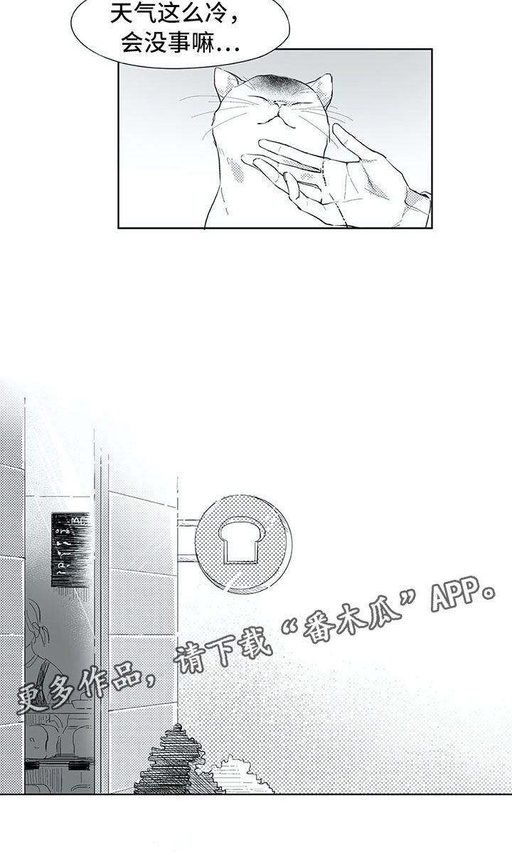 相恋49日漫画,第18章：猫咪2图