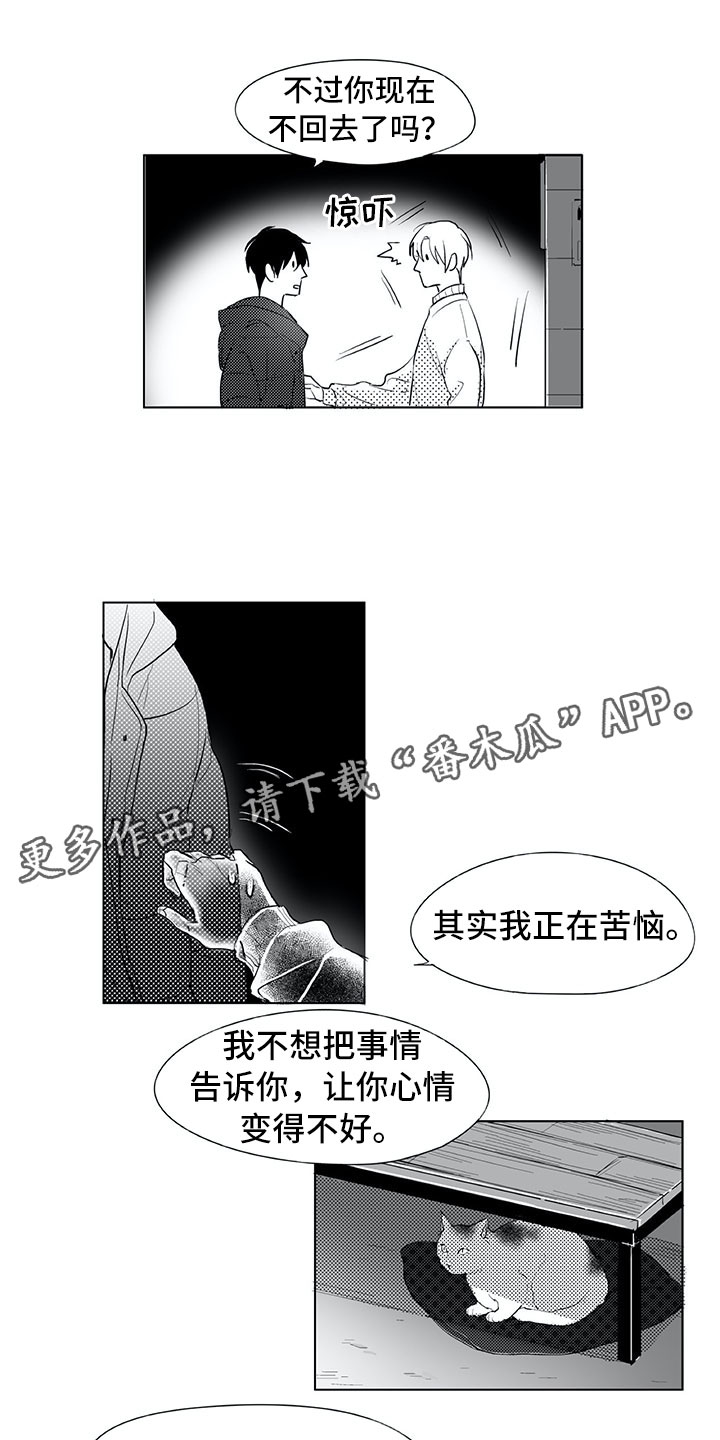 相恋49日漫画,第18章：猫咪2图