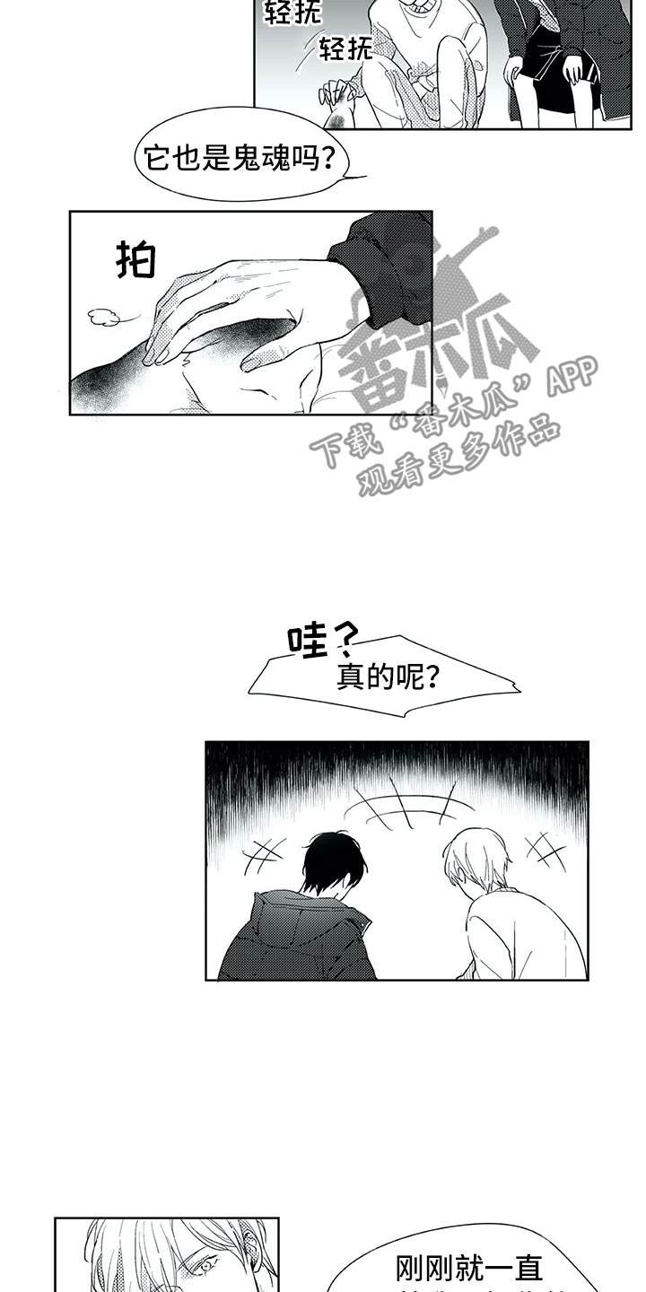 相恋49日漫画,第18章：猫咪5图