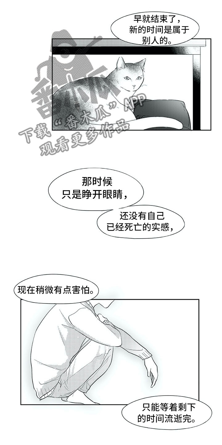 相恋49日漫画,第29章：时间5图