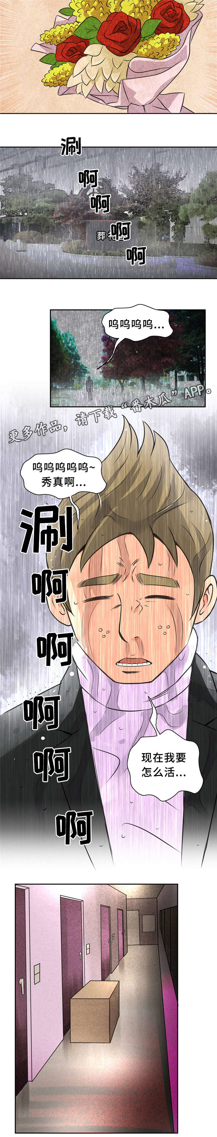皇家钢铁会员漫画,第10章：快递5图