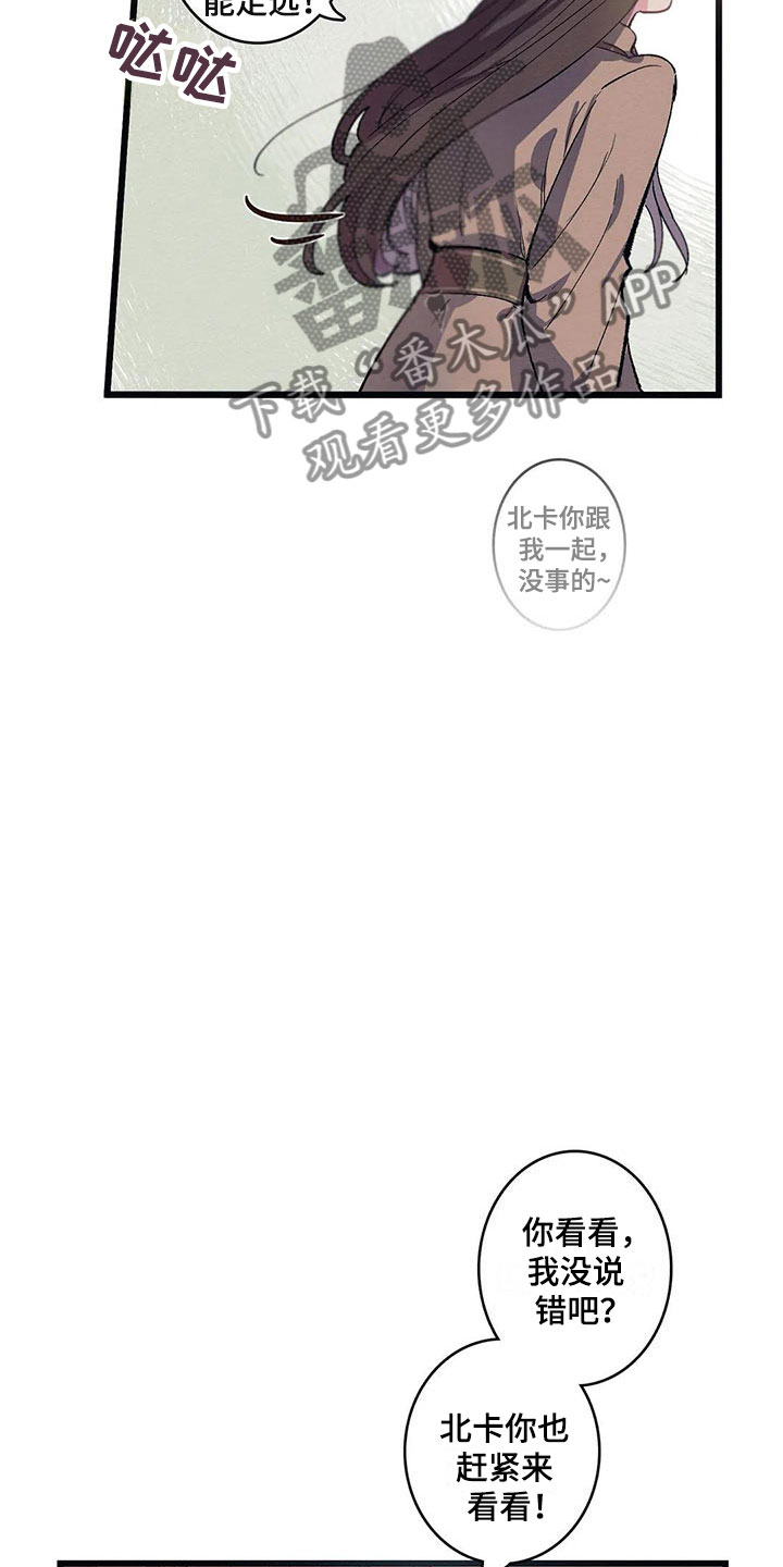 大小姐的餐桌漫画,第8章：迷路3图