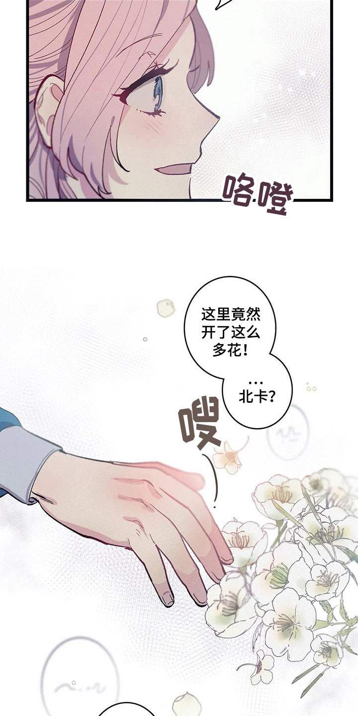 大小姐的餐桌漫画,第8章：迷路4图
