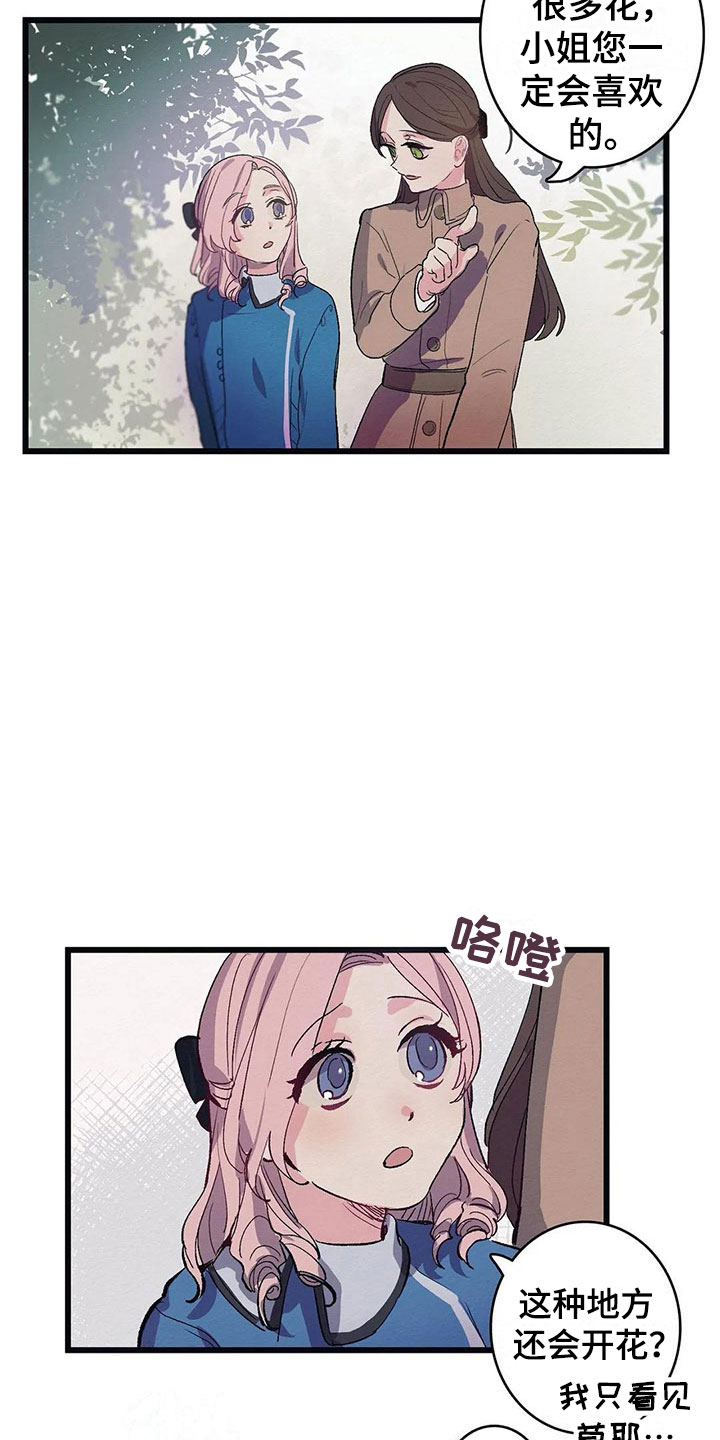 大小姐的餐桌漫画,第8章：迷路5图