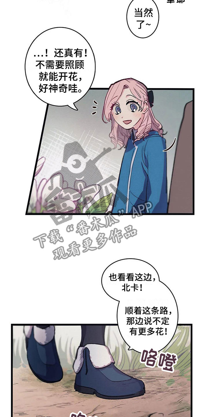 大小姐的餐桌漫画,第8章：迷路1图
