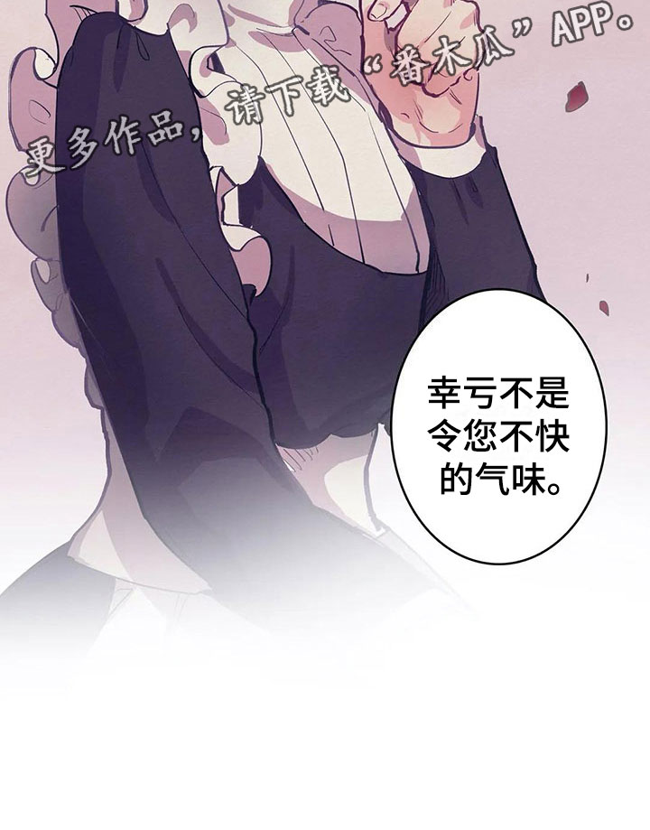 大小姐的餐桌漫画,第11章：气味5图