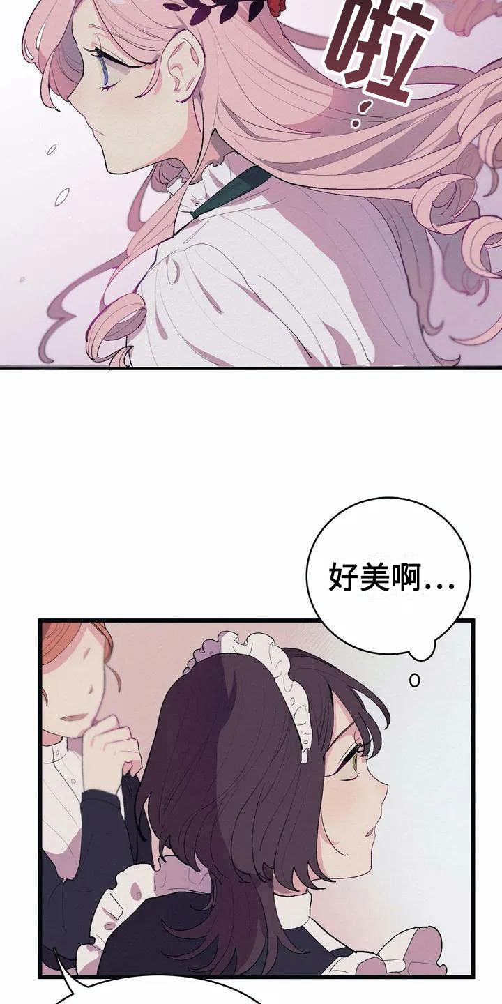 大小姐的餐桌漫画,第1章：高级食材1图