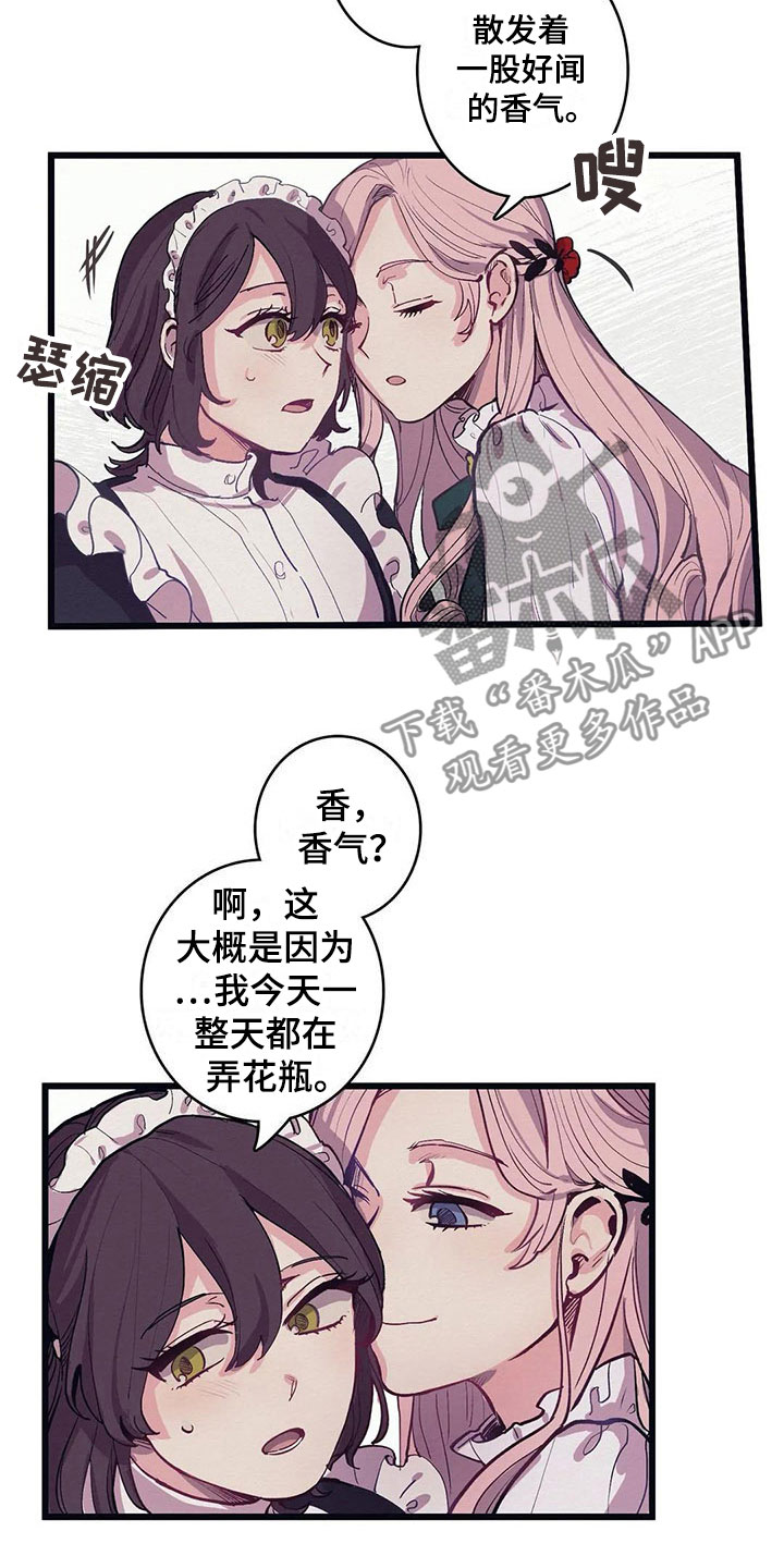 大小姐的餐桌漫画,第11章：气味3图