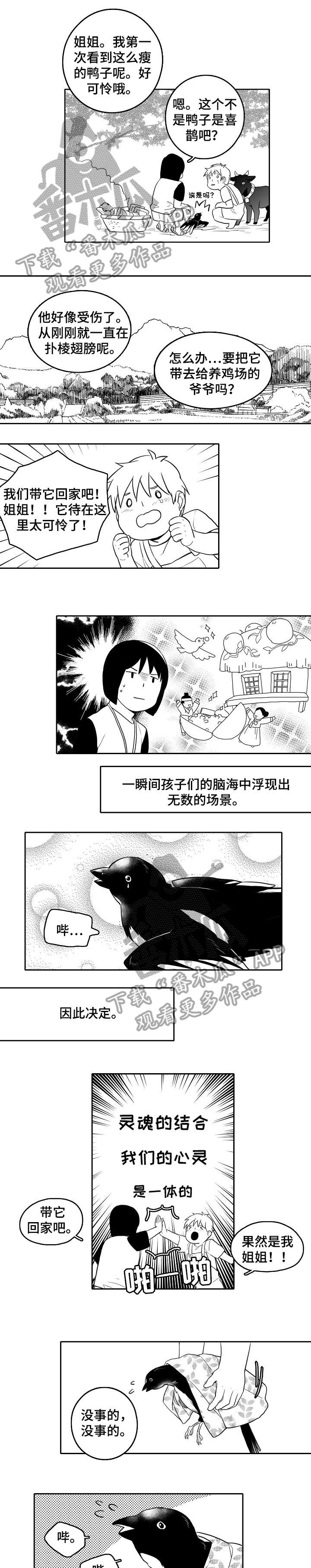 家族精神漫画,第19章：受伤1图