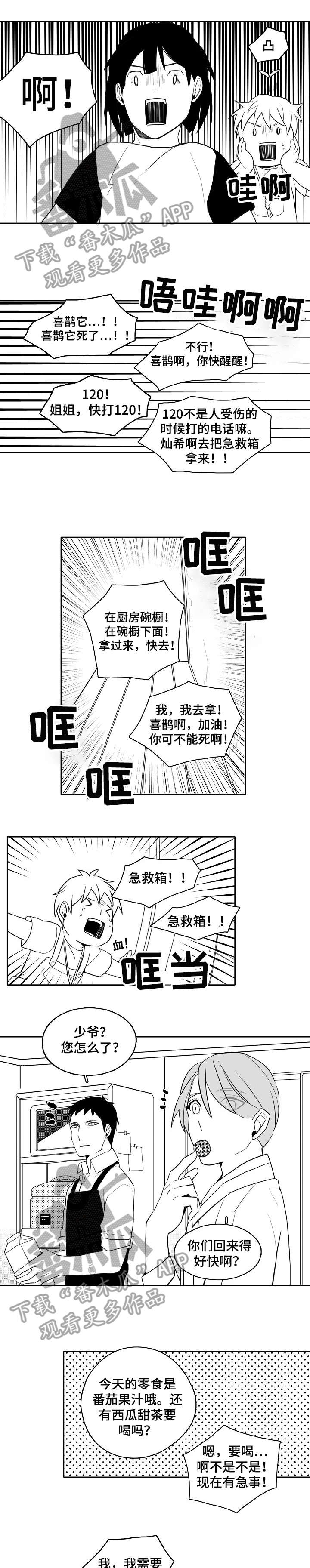 家族精神漫画,第20章：一起生活1图