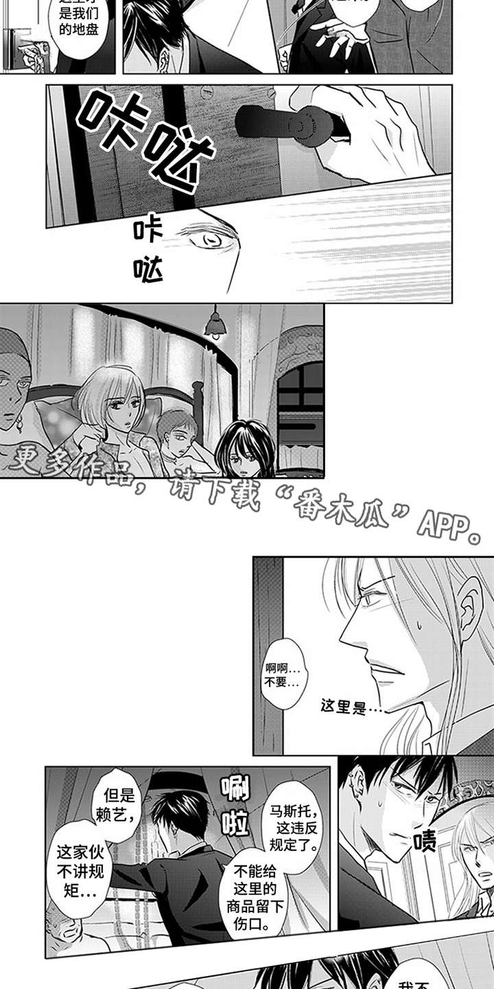 特别行动组漫画,第6章：VIP4图