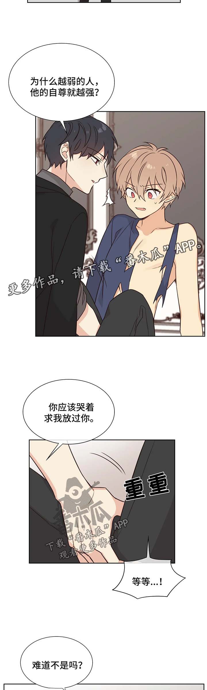 异界商店漫画,第88章：做我玩的玩具4图