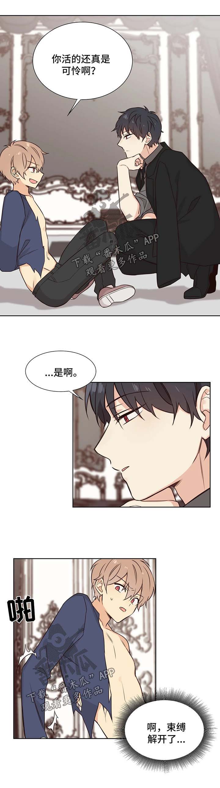 异界商店漫画,第88章：做我玩的玩具4图