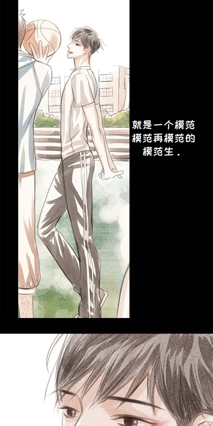 分心木治失眠偏方漫画,第4章：想念3图