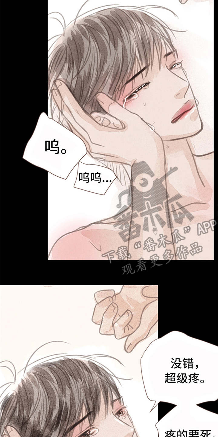 分心木治失眠偏方漫画,第7章：心意2图