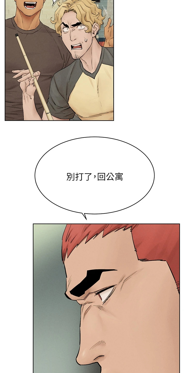 家里发现一只白蚁是不是意味着家里有蚁窝漫画,第232章：都回去了5图