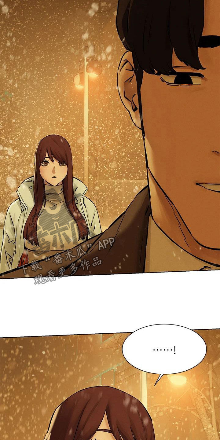 家里发现一只白蚁是不是意味着家里有蚁窝漫画,第265章：你要求婚吗？（完结）1图