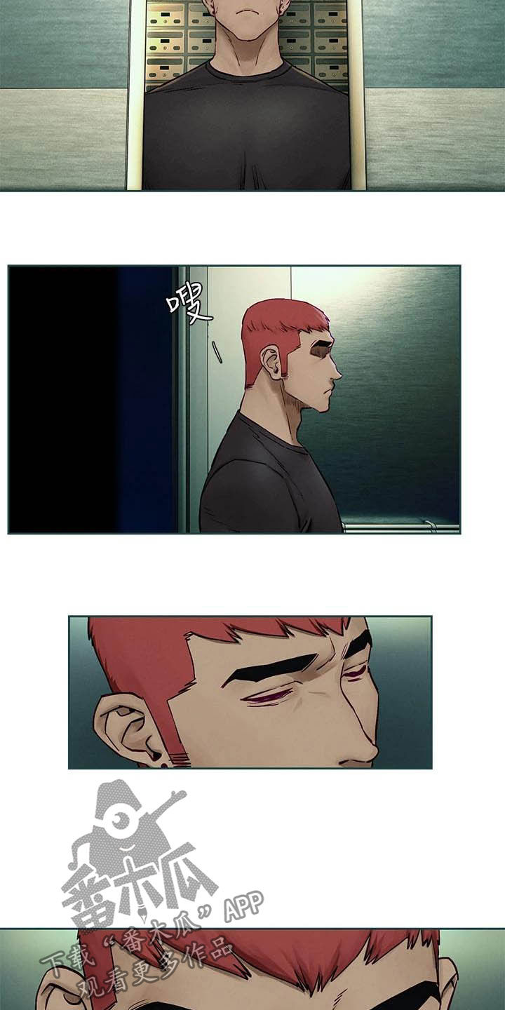 蚁窝怎么做漫画,第254章：前狼后虎2图