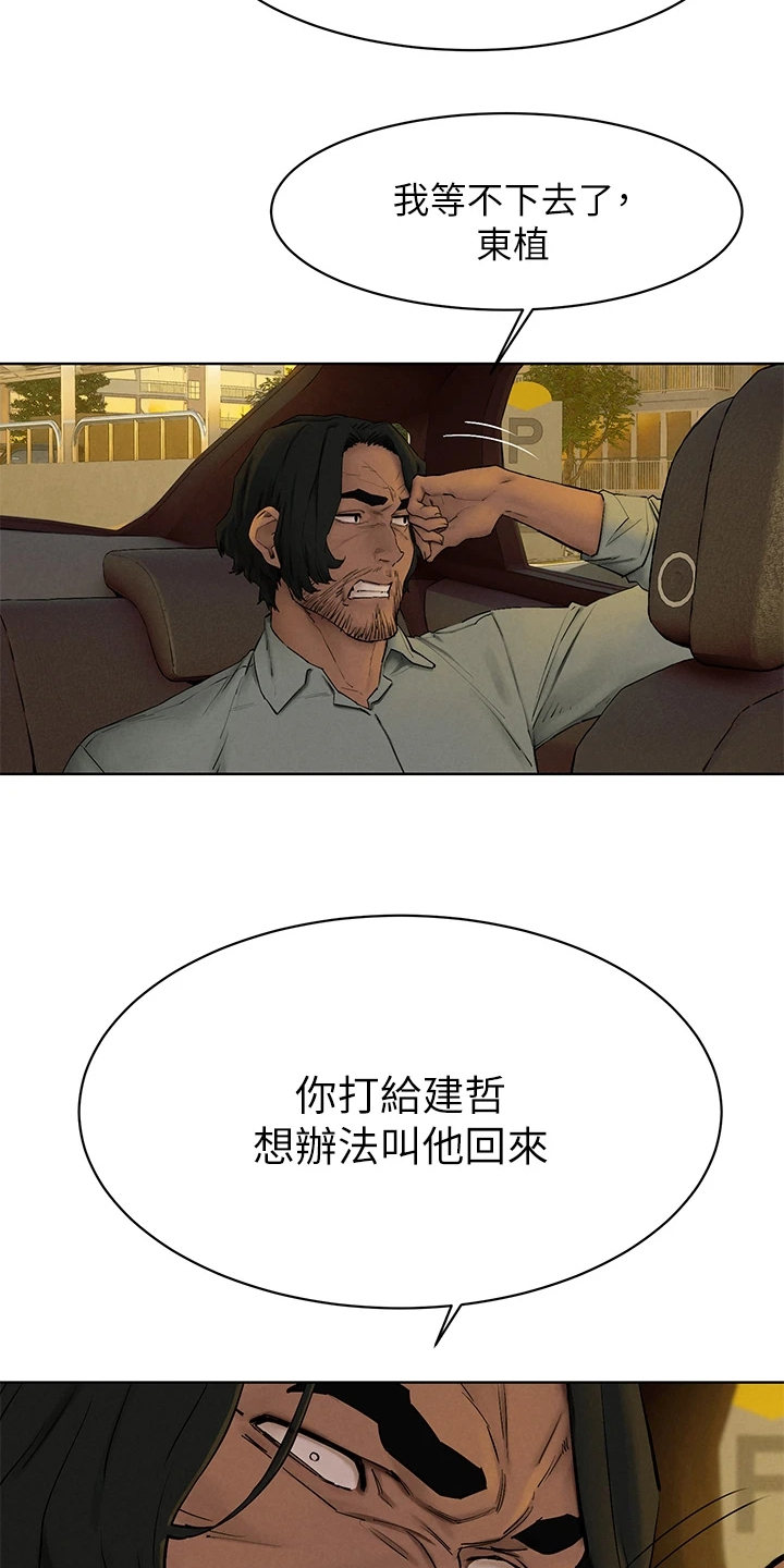 蚁窝泡酒的功效与作用漫画,第247章：你把她看的太高2图