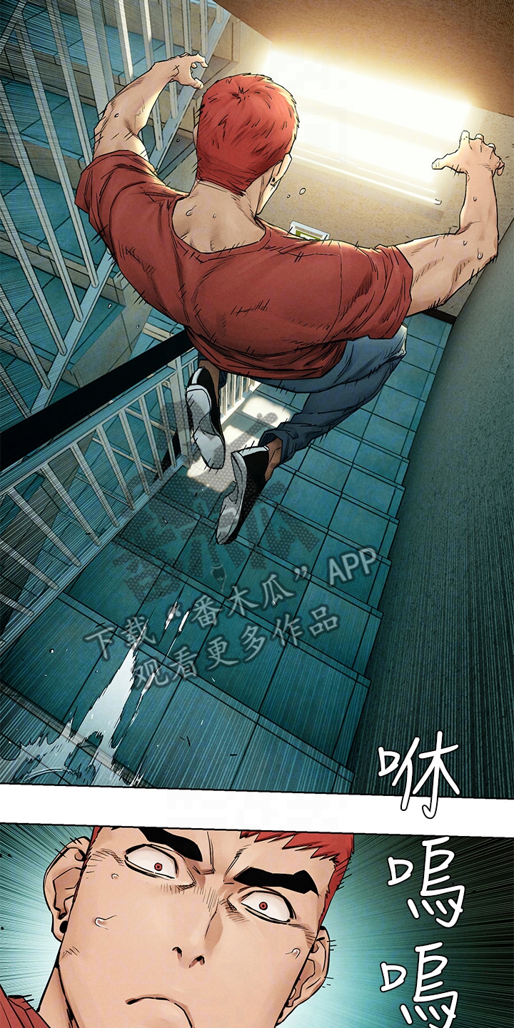 蚁窝ai智慧餐厅如何申请退款漫画,第236章：玩命逃窜1图