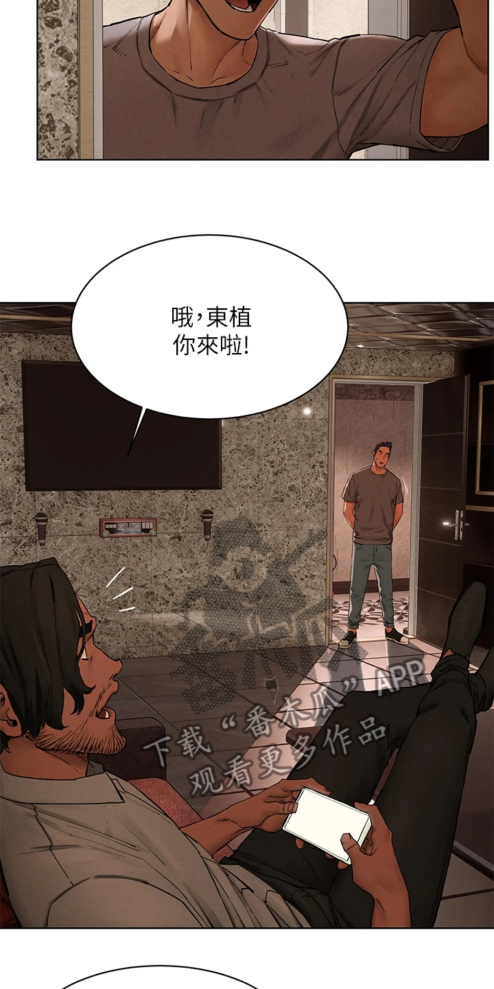 蚁窝树漫画,第245章：注定的火花4图