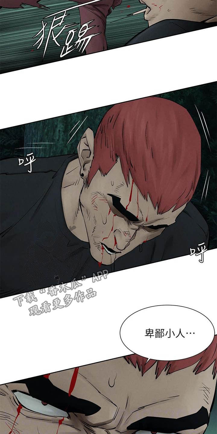 蚁窝多少钱一个漫画,第257章：殴打1图