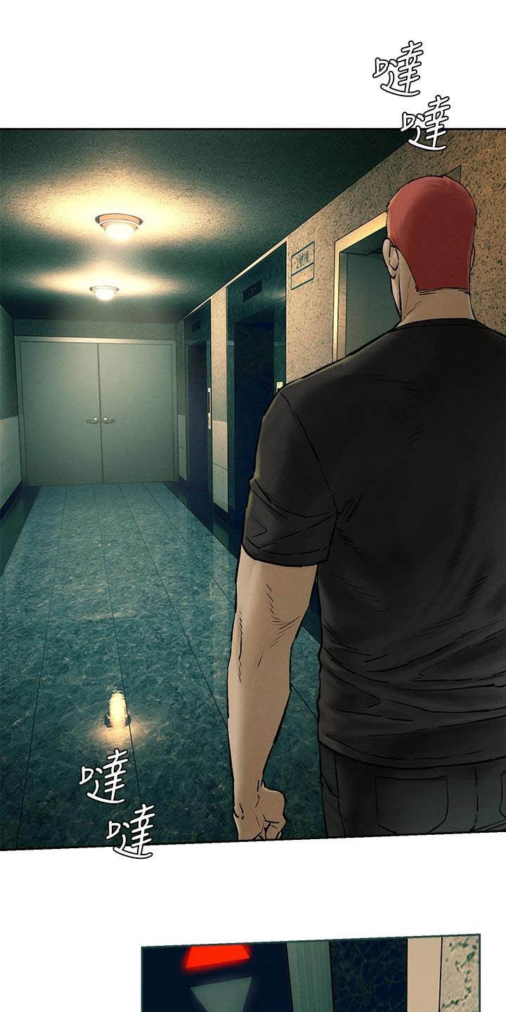 蚁窝多少钱一个漫画,第254章：前狼后虎4图