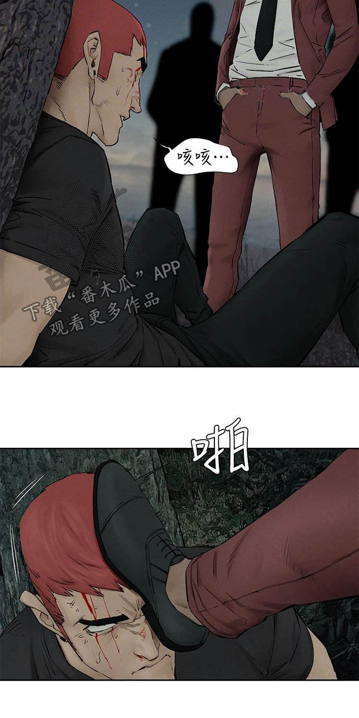 蚁窝多少钱一个漫画,第257章：殴打2图