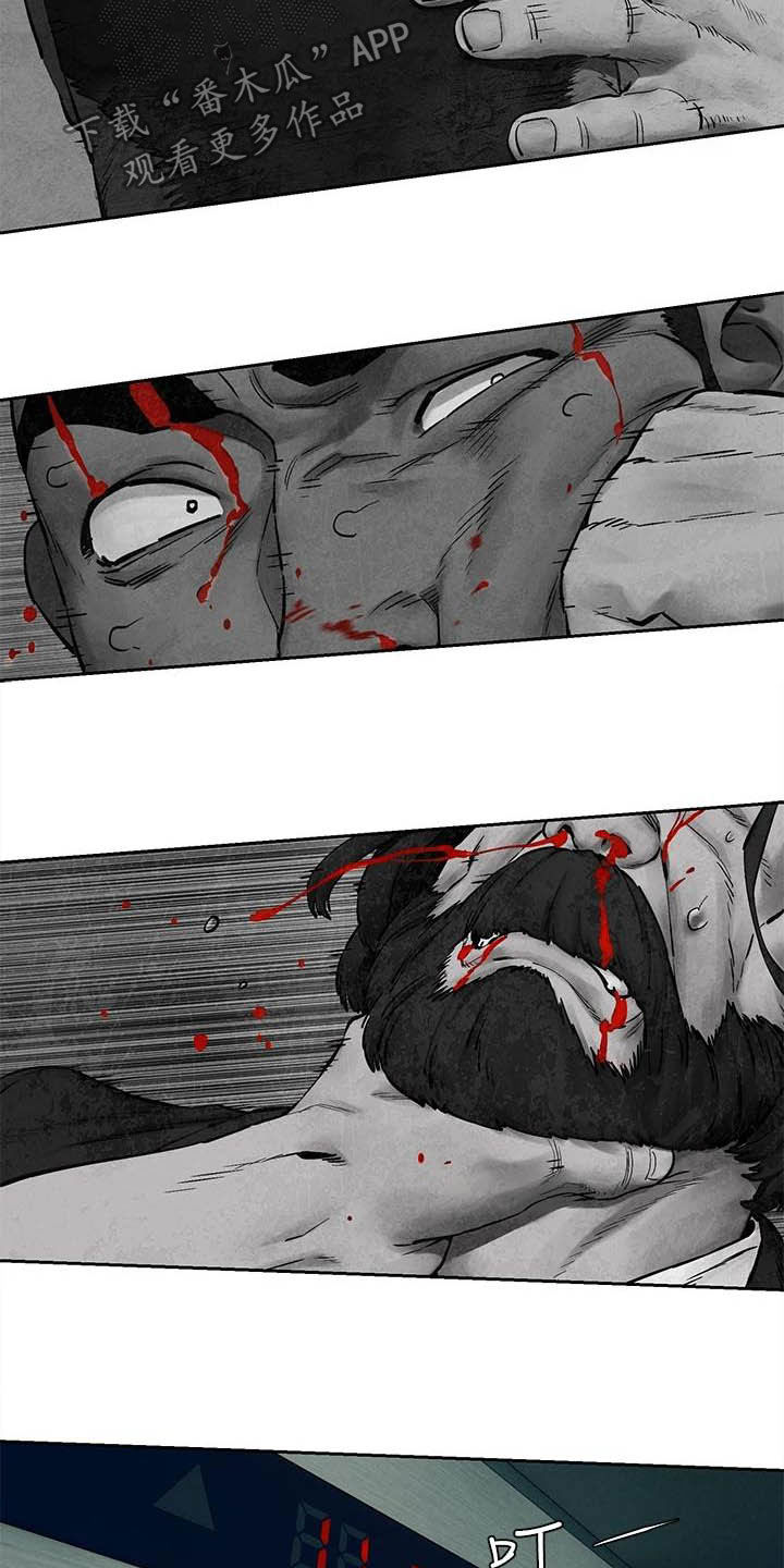 缅甸黑蚂蚁窝漫画,第254章：前狼后虎1图