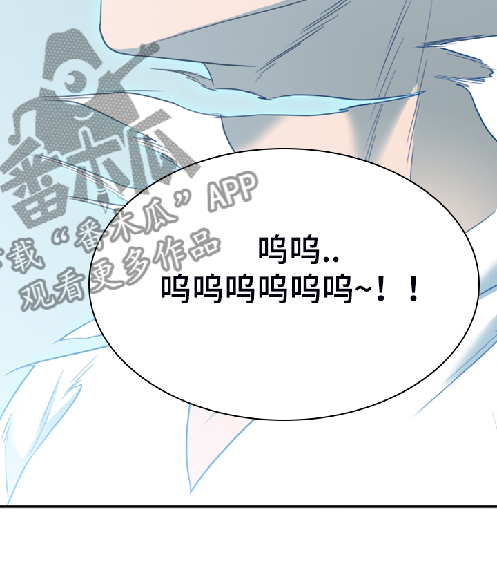 黑夜撒旦漫画,第247章：不要忘记我1图