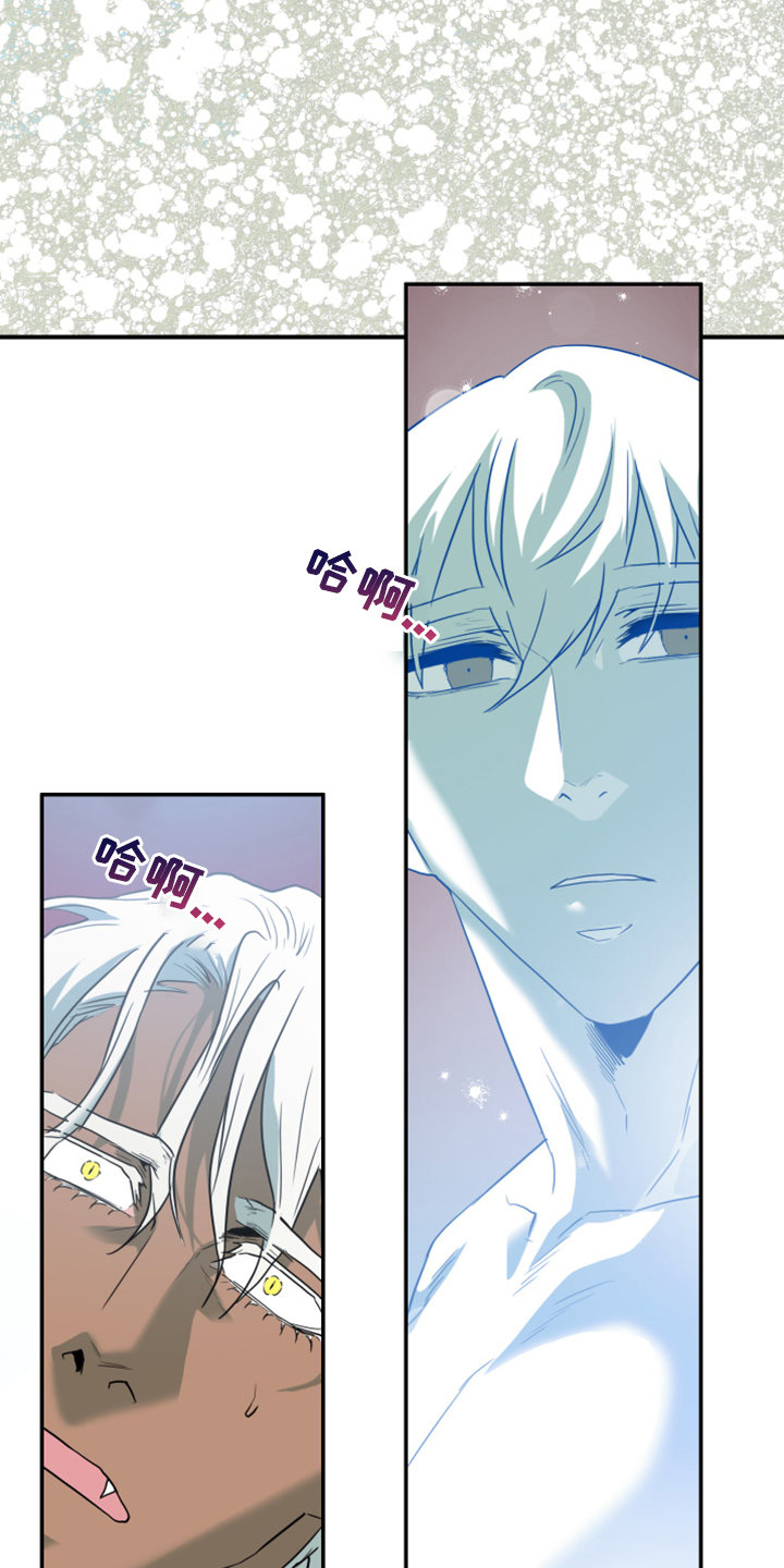 黑夜撒旦漫画,第249章：【完结】回归的人1图