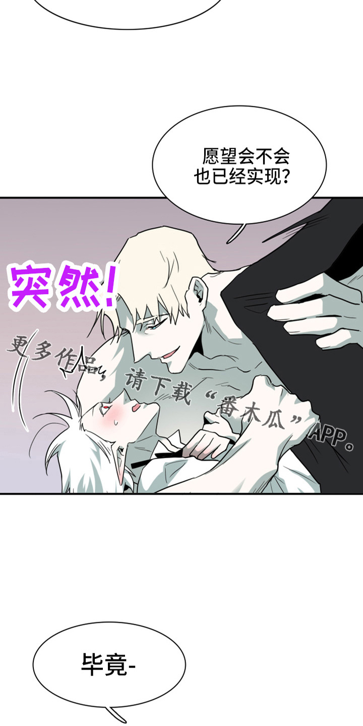 黑夜撒旦漫画另一个名字漫画,第266章：【番外】实现愿望1图
