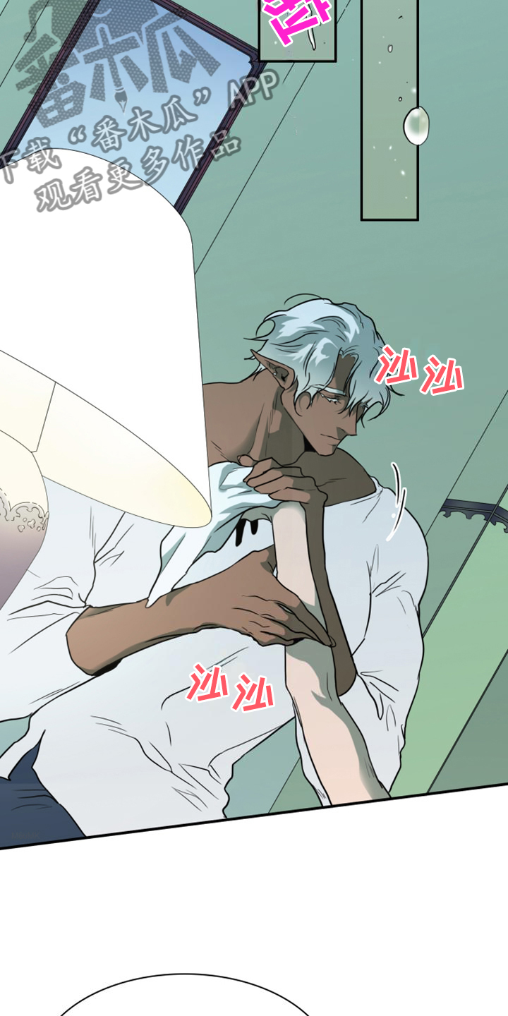 黑夜撒旦漫画,第258章：【番外】孕育生命5图