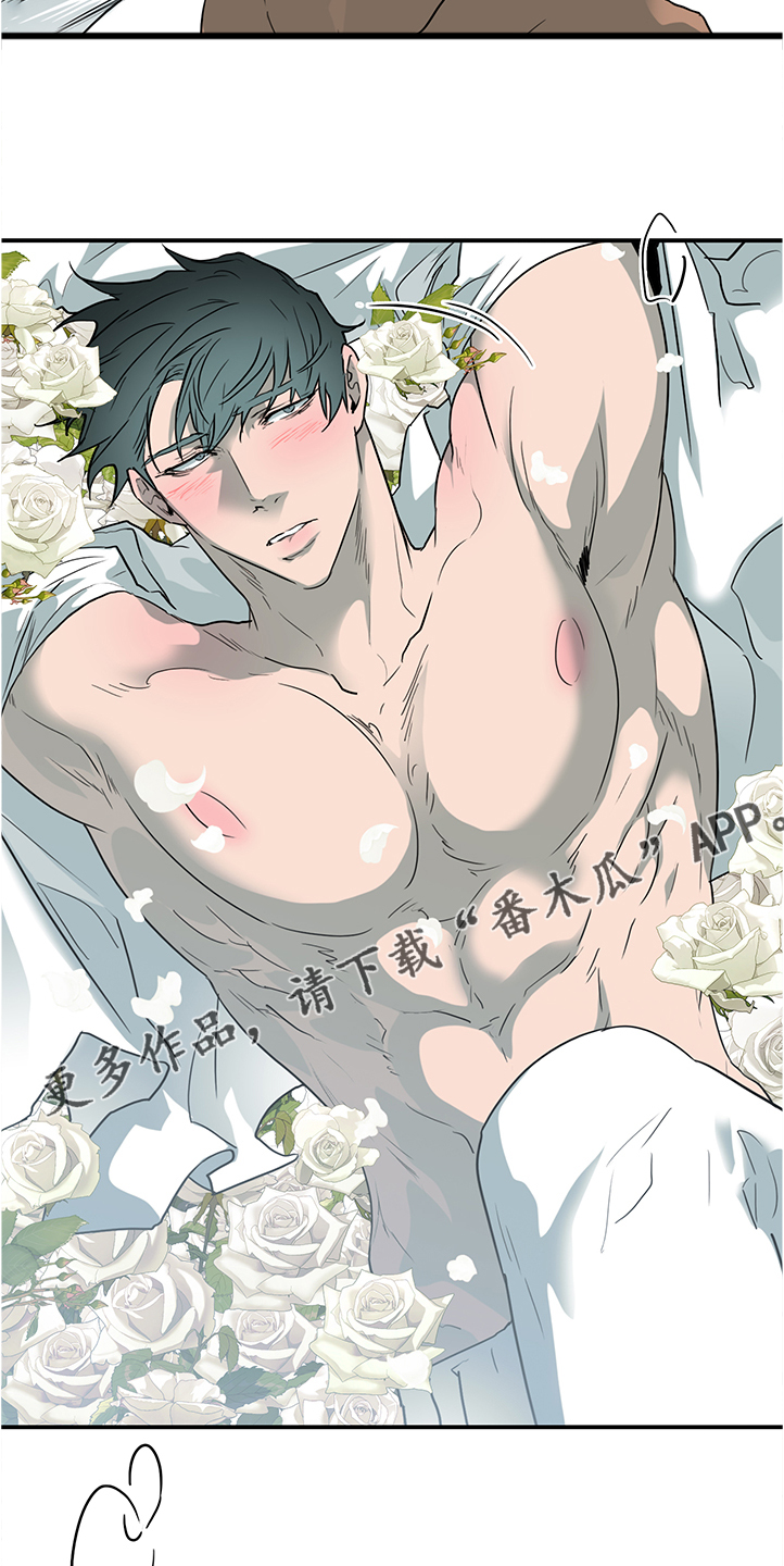 黑夜撒旦漫画,第230章：不要回忆悲伤2图