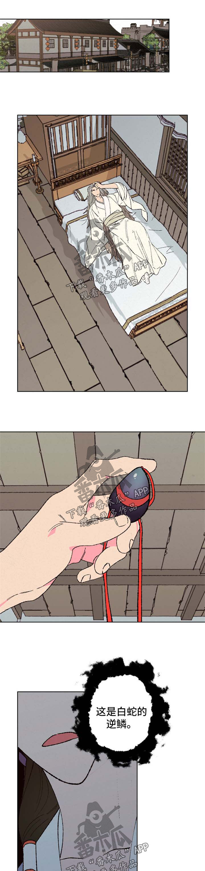 仙嫁之旅漫画,第39章：贵宾1图