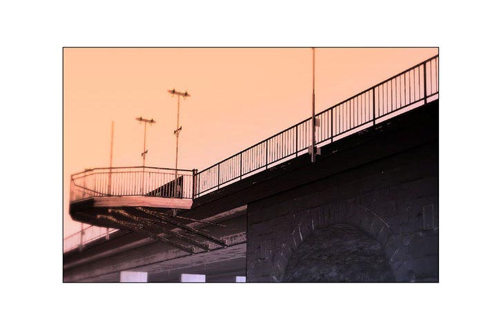 真假社长漫画,第32章：离开或留下1图