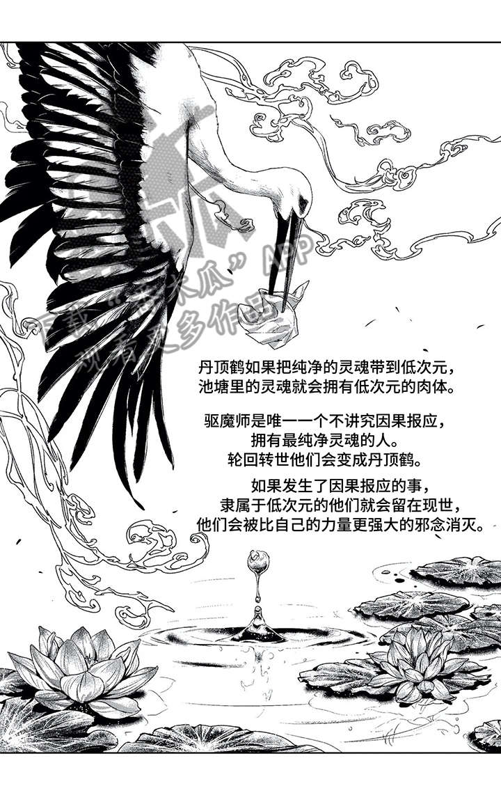 低次元漫画,第4章：爱1图