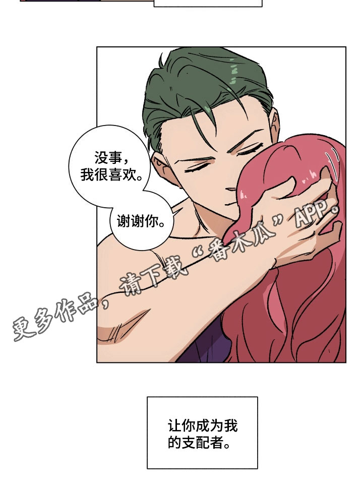 掌控学习漫画,第8章：利用5图