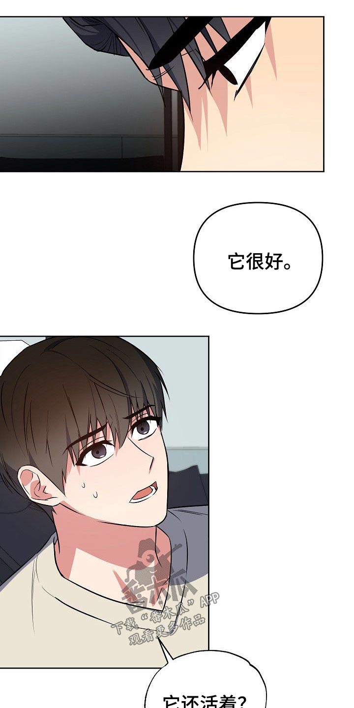 歪打正着灯谜打一字漫画,第33章：小狗5图