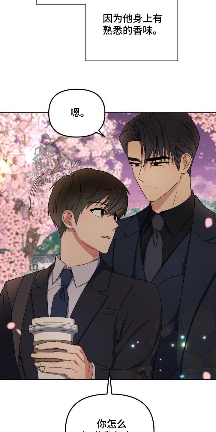 歪打正着全集免费阅读漫画,第88章：樱花5图