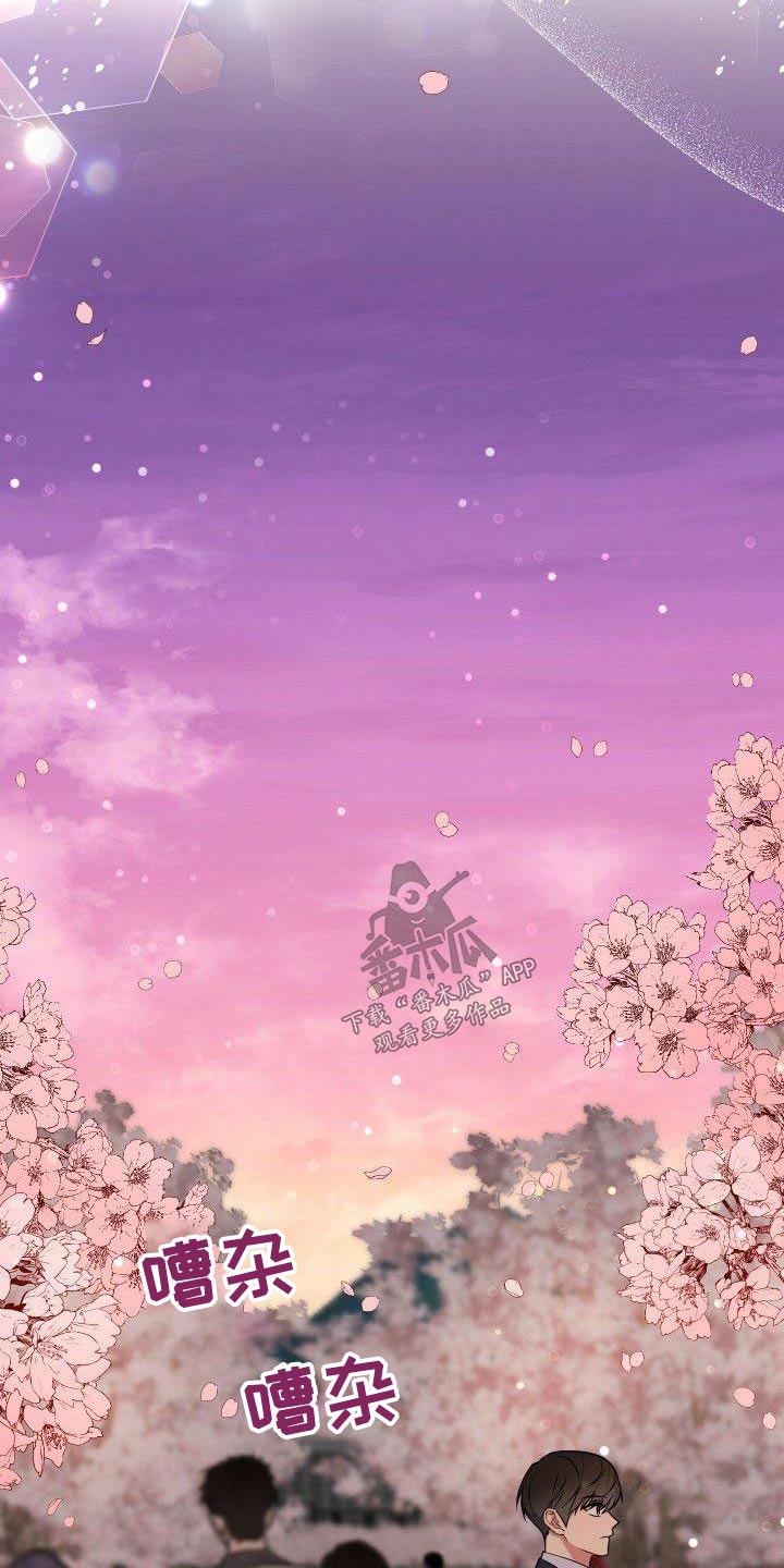 歪打正着全集免费阅读漫画,第88章：樱花2图