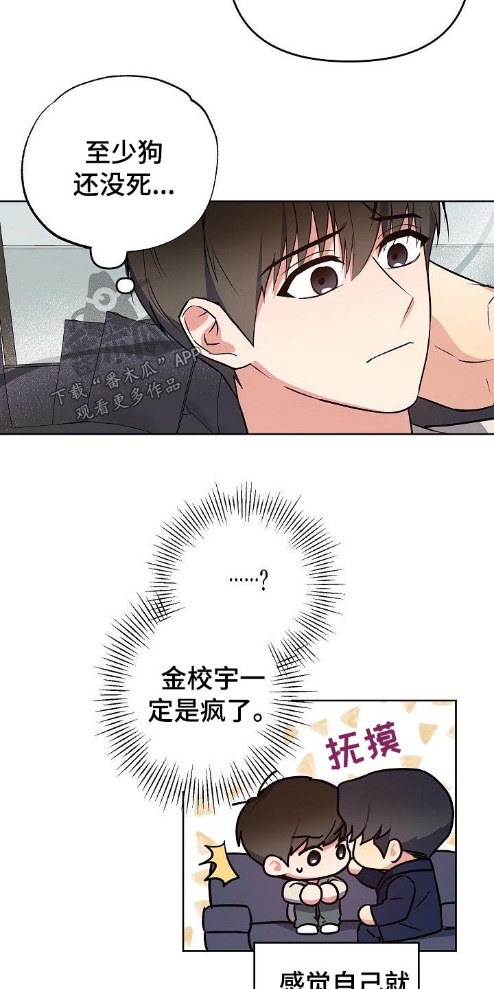 歪打正着第二集完整版漫画,第33章：小狗2图