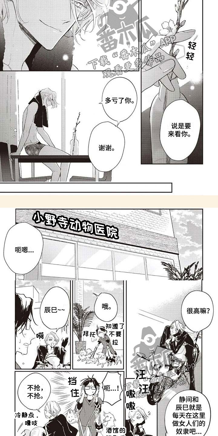 游戏重启漫画,第6章：终于见面4图