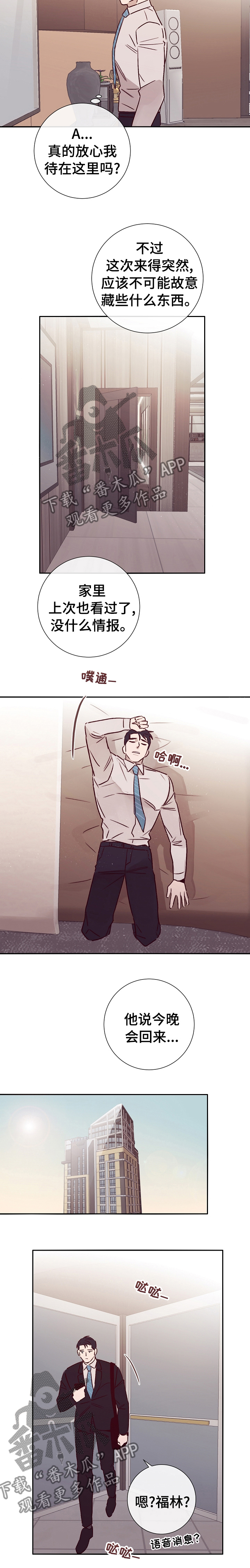 失踪案件漫画,第50章：上岛1图