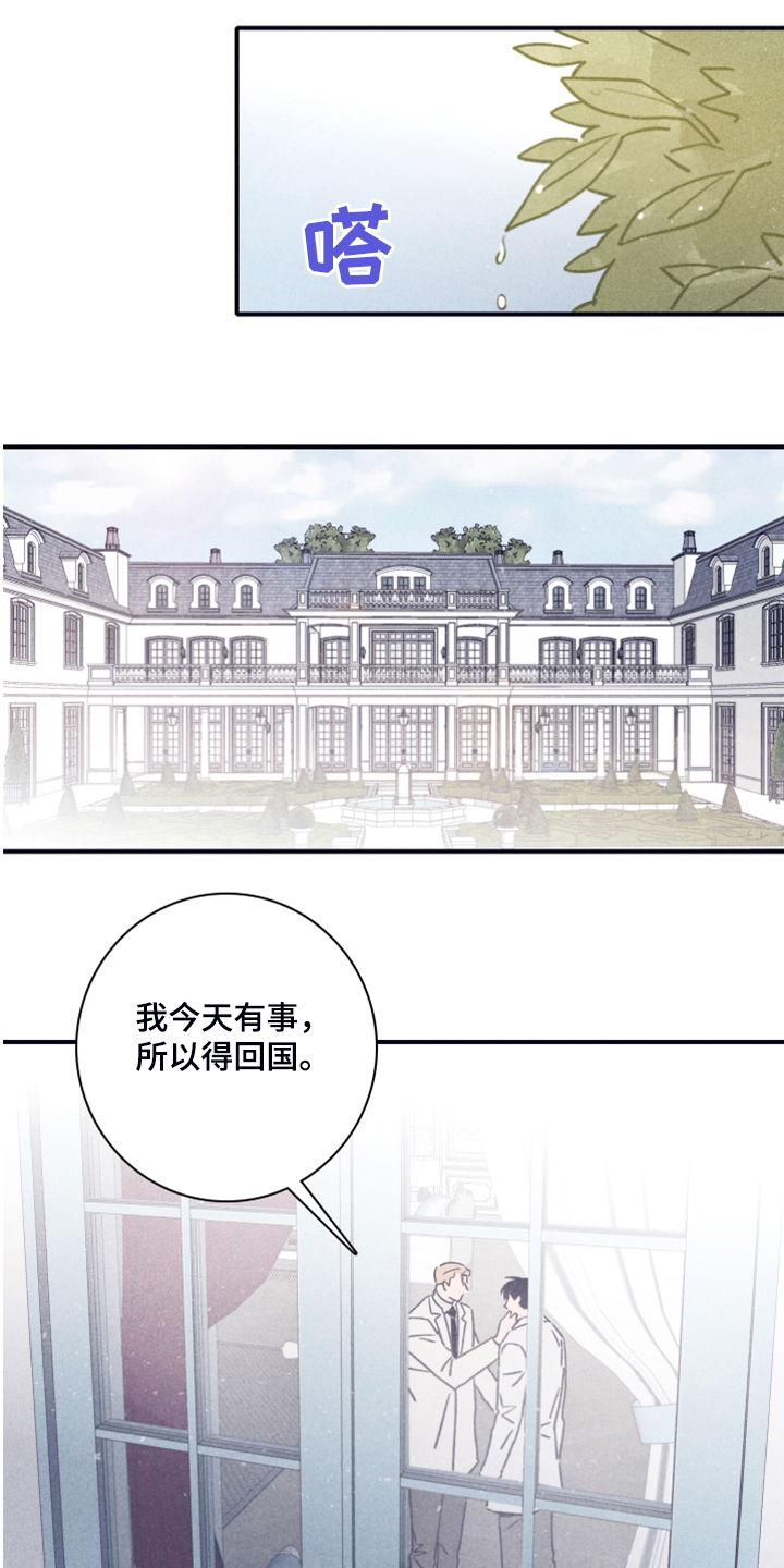 失踪案件漫画,第82章：【第二季】索菲亚死了1图