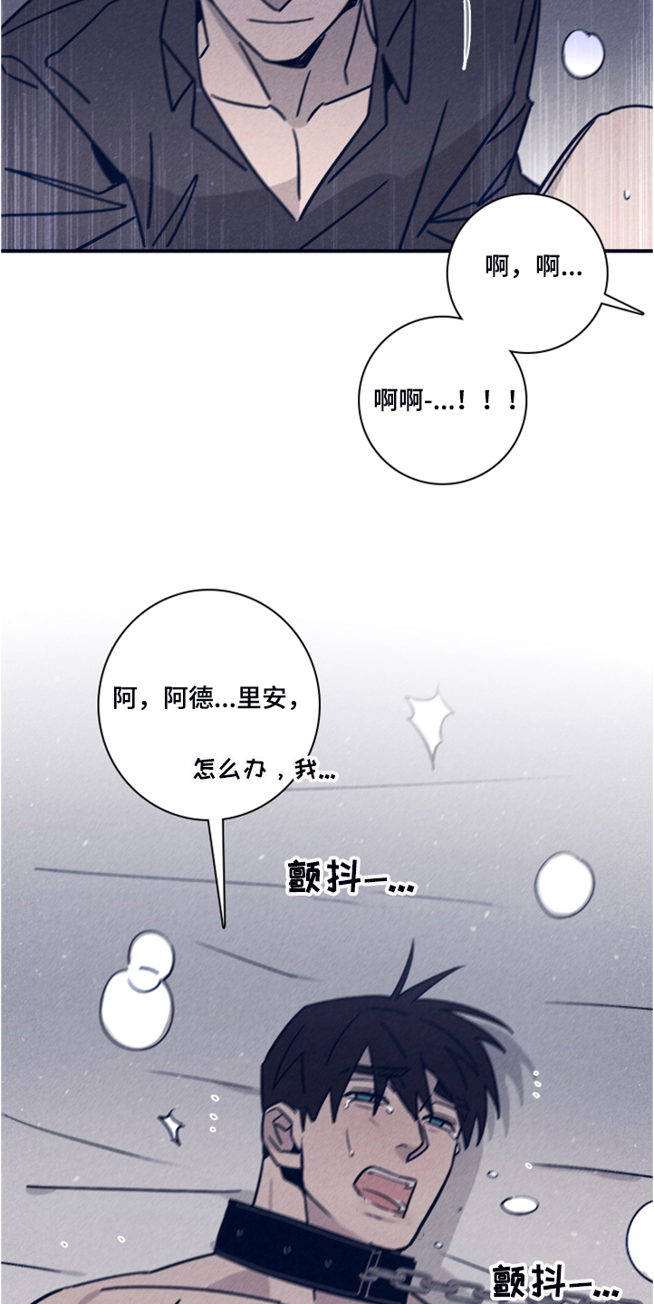 失踪案件漫画,第99章：【第二季】看来是对的5图