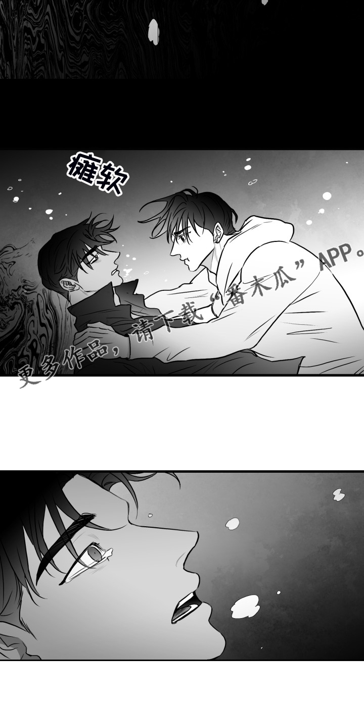 第72章：【第二季】明明活的很努力2